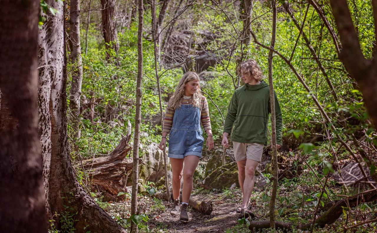 Ernie Cabin Wauhatchie Woodlands Tiny Cabin Чаттануґа Екстер'єр фото